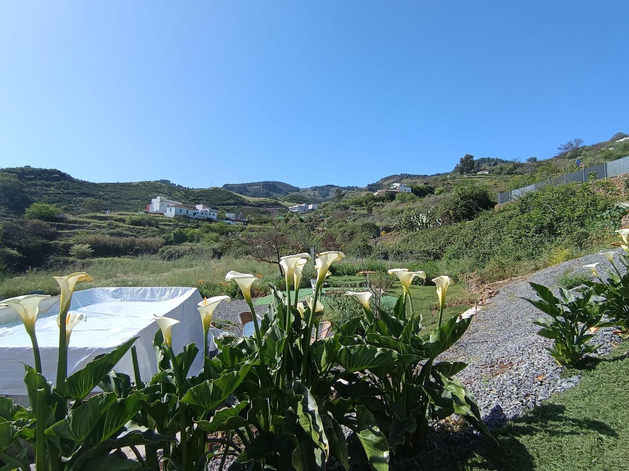 Vv Rural Finca Ecocielo Villa Vega de San Mateo Kültér fotó